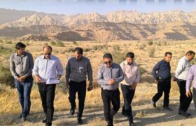 بازدید فرماندار عسلویه از زمین ۱۵ هکتاری برای احداث نیروگاه خورشیدی در شهر جدید چاه مبارک