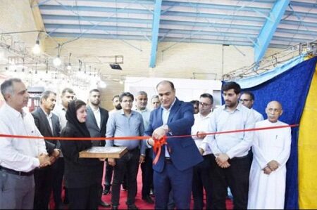 نمایشگاه عرضه مستقیم محصولات با بیش از 50 غرفه در عسلویه افتتاح شد