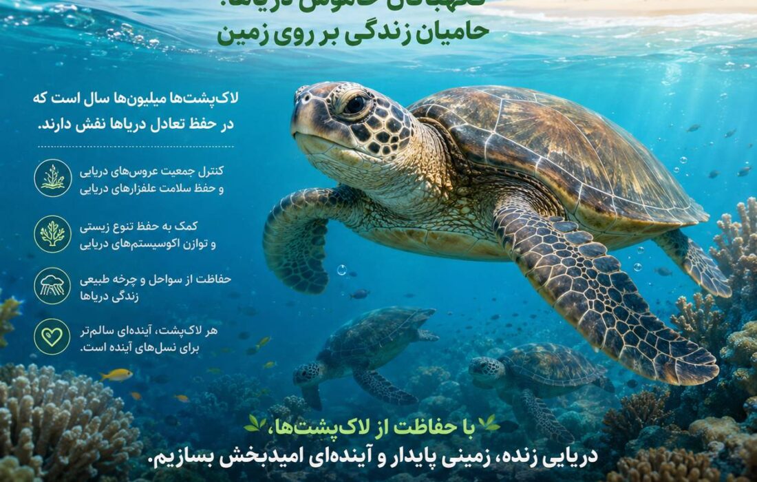 روز جهانى لاک‌پشت‌ها نگهبانان خاموش درياها؛حاميان زندگی بر روى زمين