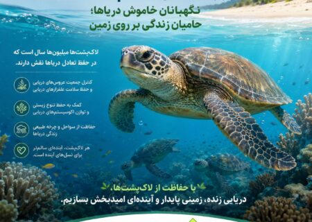 روز جهانى لاک‌پشت‌ها نگهبانان خاموش درياها؛حاميان زندگی بر روى زمين